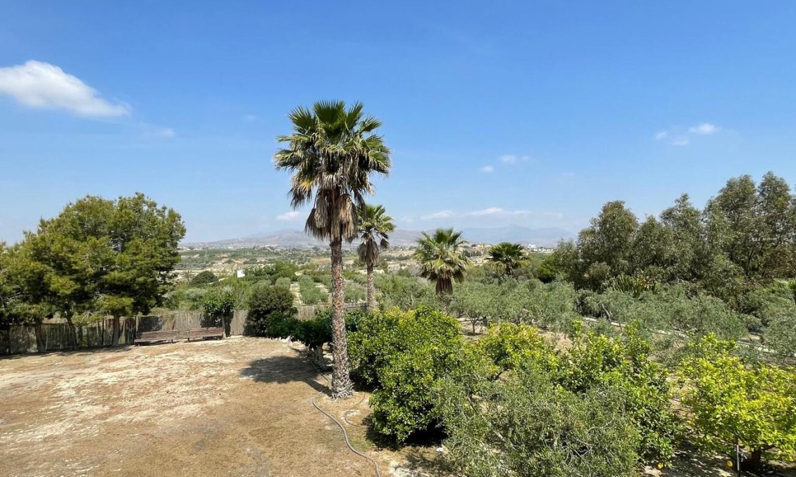 Resale - Villa -
El Rebolledo