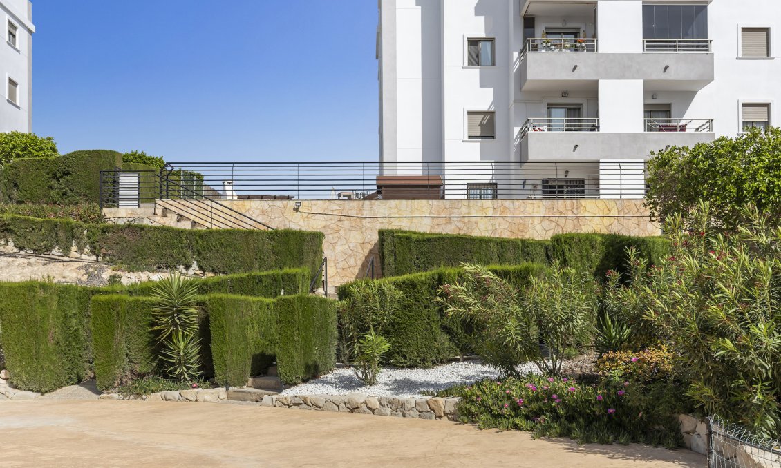 Használt Ingatlanok - Apartman -
San Miguel de Salinas - Inland