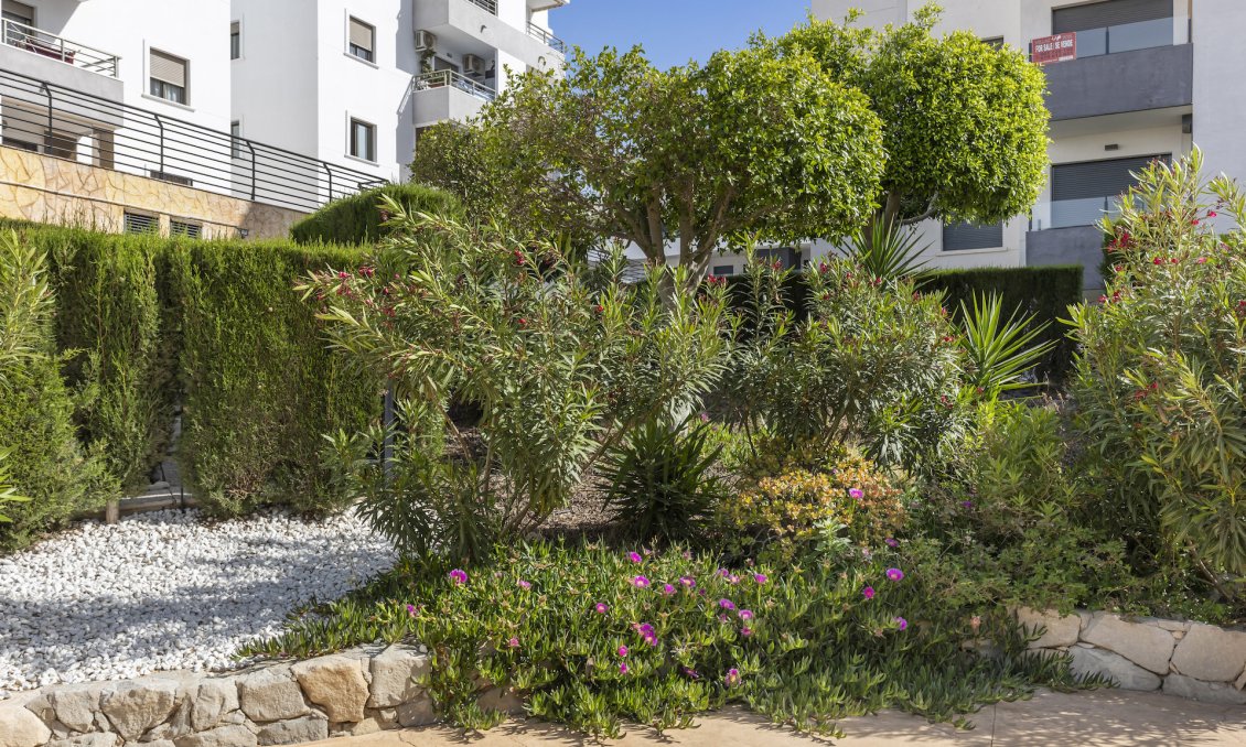 Használt Ingatlanok - Apartman -
San Miguel de Salinas - Inland