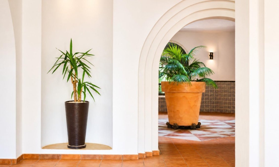 Resale - Apartment -
Torrevieja - Los Frutales