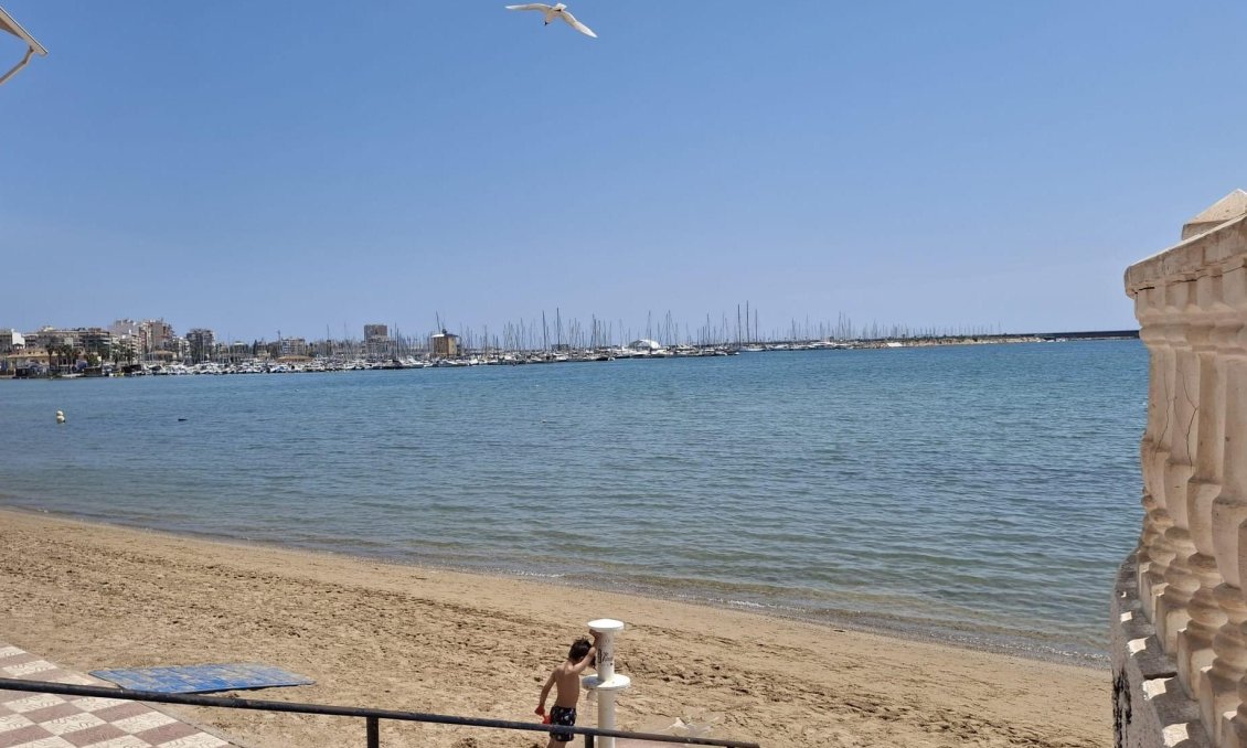 Segunda mano - Apartamento -
Torrevieja - Acequion
