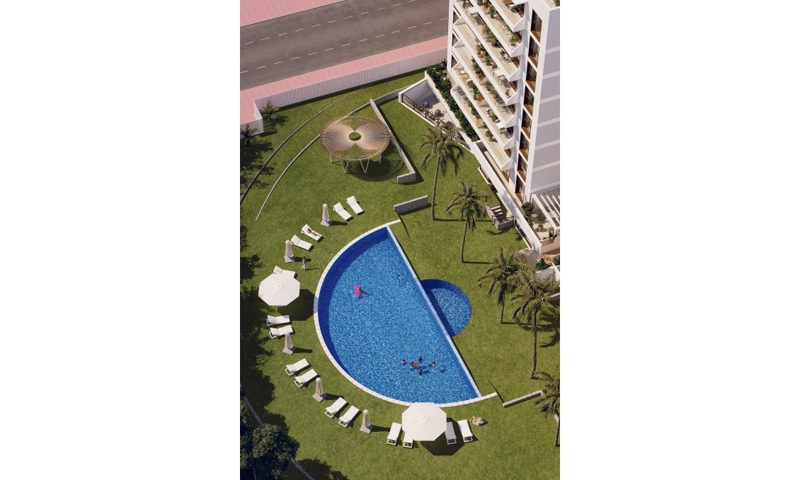 Obra nueva - Ático -
Guardamar del Segura - Avda del Puerto
