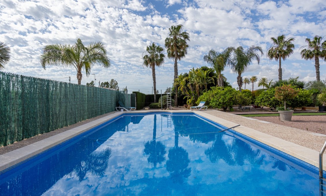 Resale - Villa -
Elche - Costa Blanca