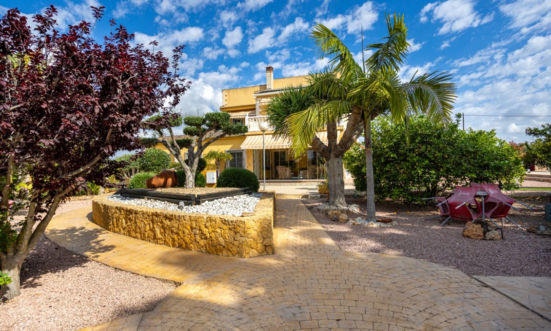 Resale - Villa -
Elche - Costa Blanca