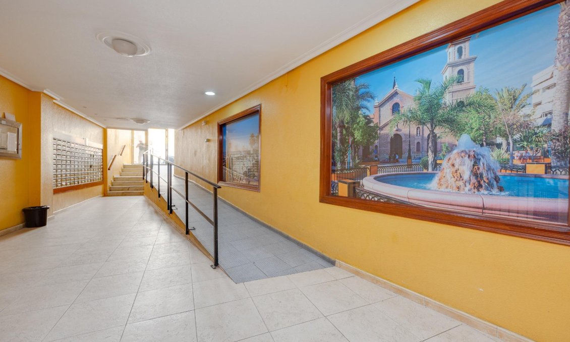 Segunda mano - Apartamento -
Torrevieja - Centro