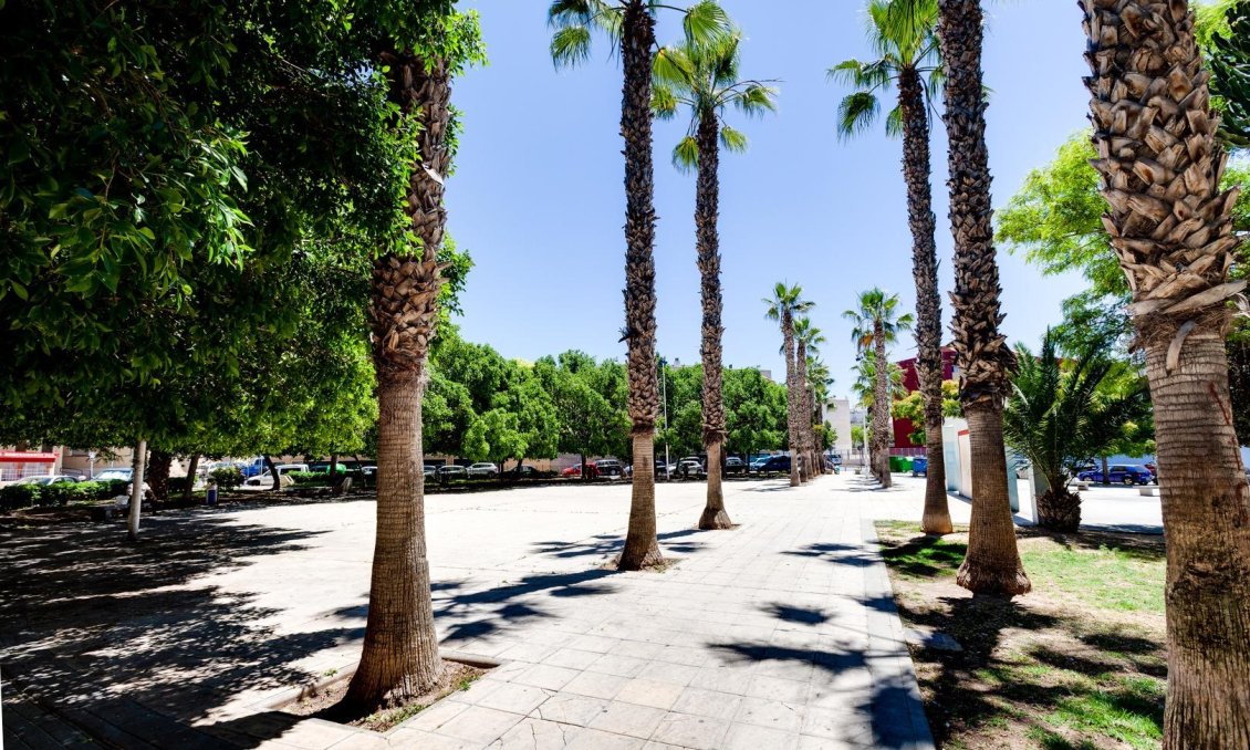 Segunda mano - Apartamento -
Torrevieja - Centro