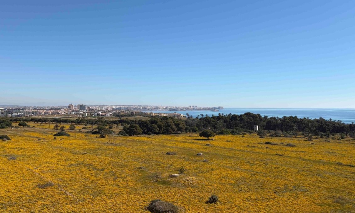 Resale - Apartment -
Orihuela Costa - Costa Blanca