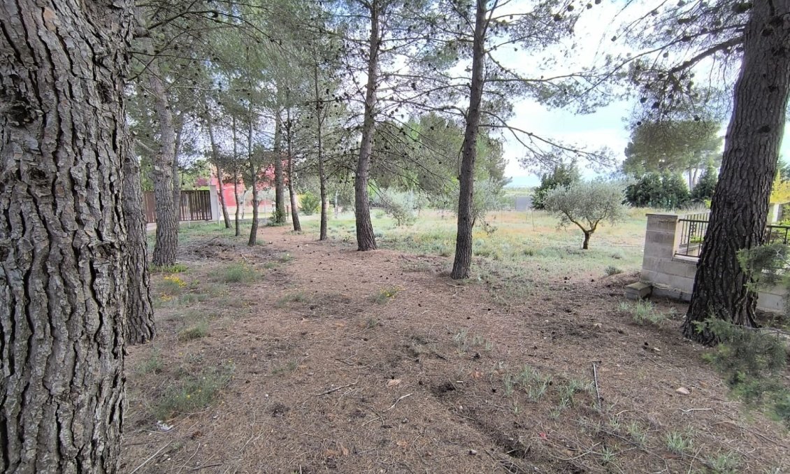 Segunda mano - Villa -
Yecla - Inland