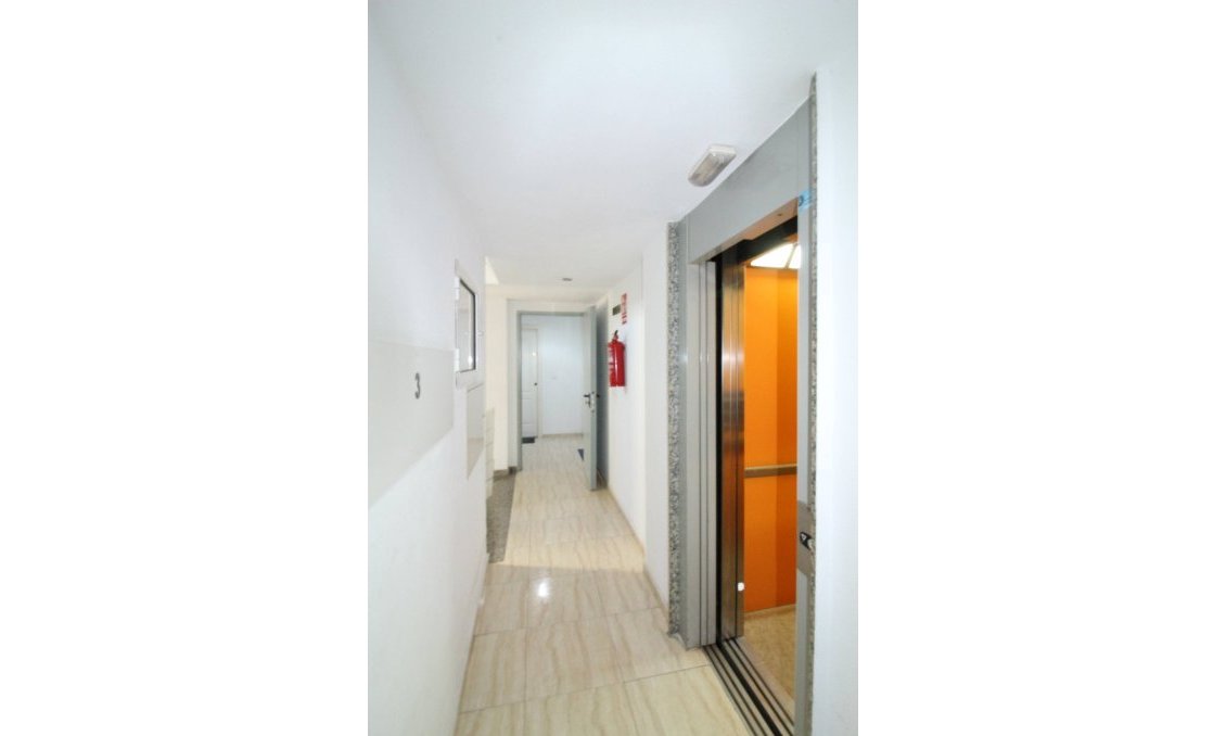 Használt Ingatlanok - Apartman -
Torrevieja - Centrum