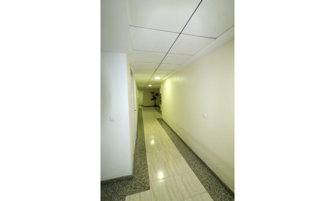 Használt Ingatlanok - Apartman -
Torrevieja - Centrum