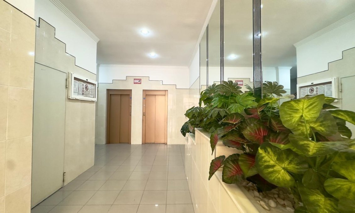 Revânzare - Apartament -
Torrevieja - Centro