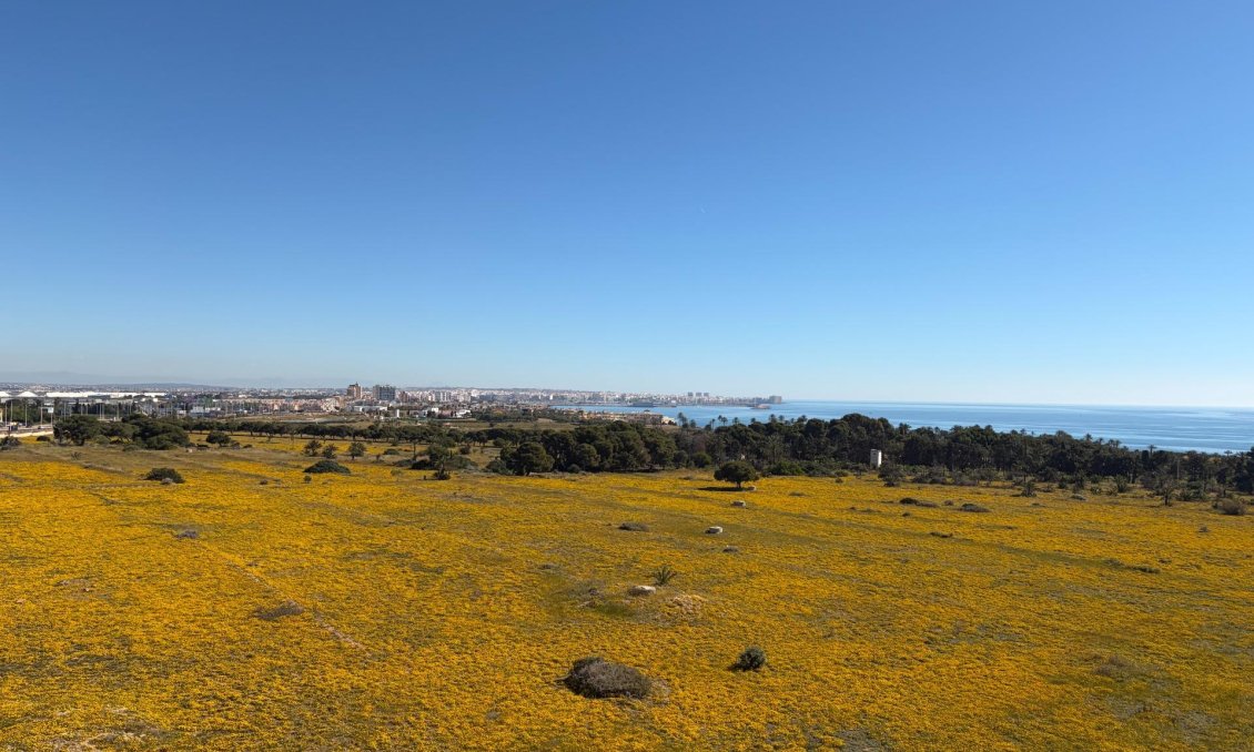 Resale - Penthouse -
Torrevieja - Punta Prima