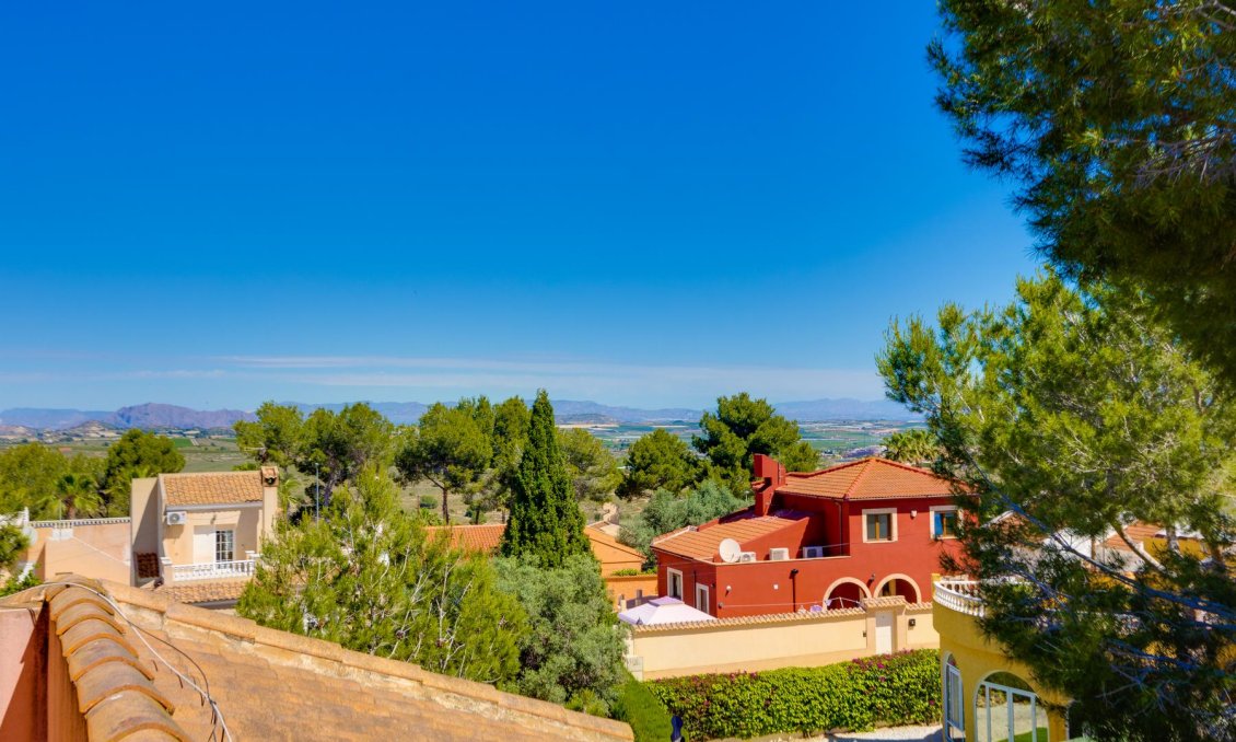 Resale - Villa -
San Miguel de Salinas - Inland