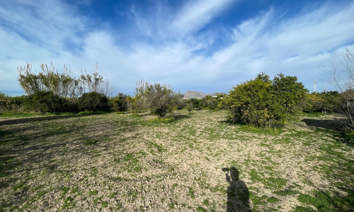 Resale - Villa -
Benejúzar - Inland