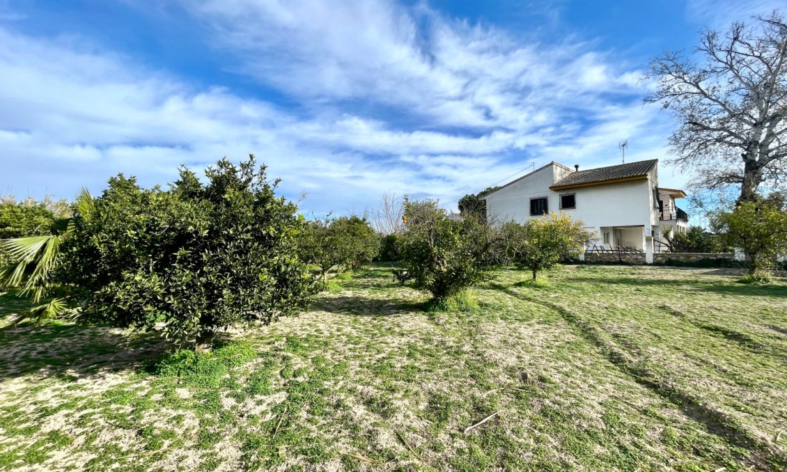 Resale - Villa -
Benejúzar - Inland