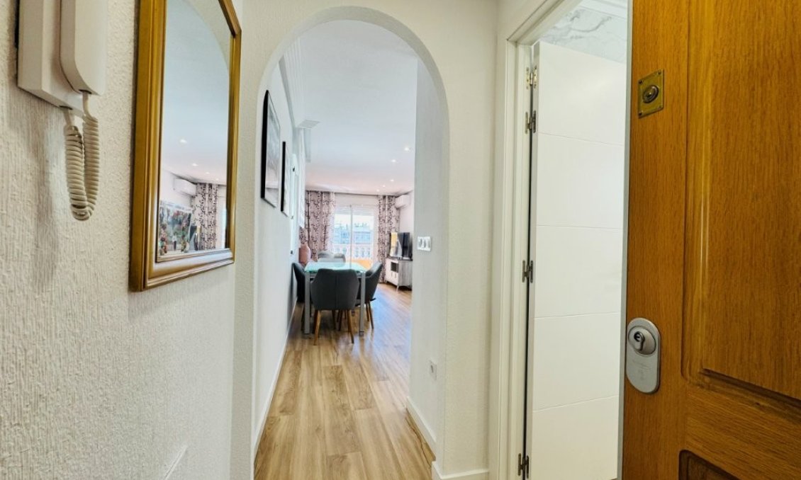 Resale - Apartment -
Guardamar del Segura - Costa Blanca