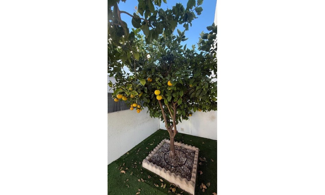 Resale - Townhouse -
Torrevieja - Aguas Nuevas