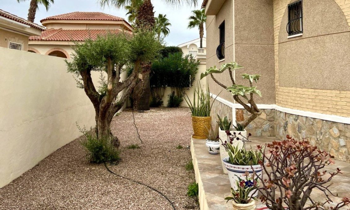 Használt Ingatlanok - Villa -
Benijofar - Costa Blanca