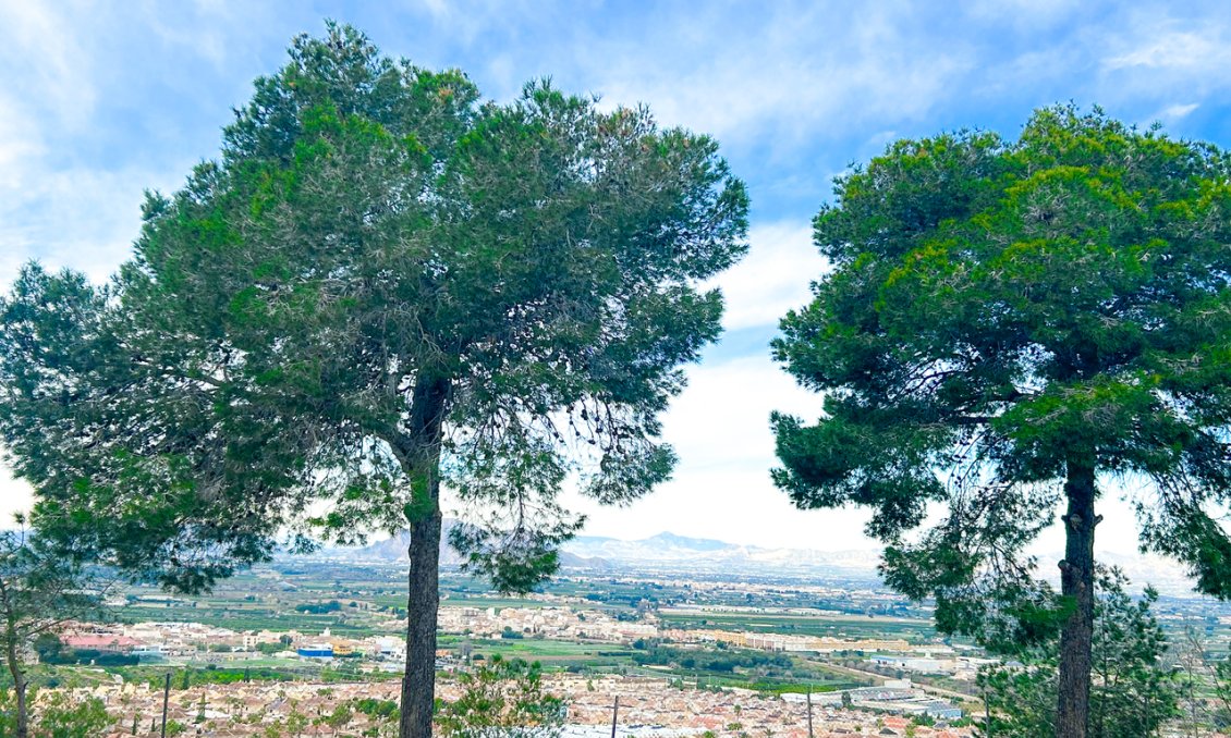 Revânzare - Apartament -
Ciudad Quesada - Costa Blanca