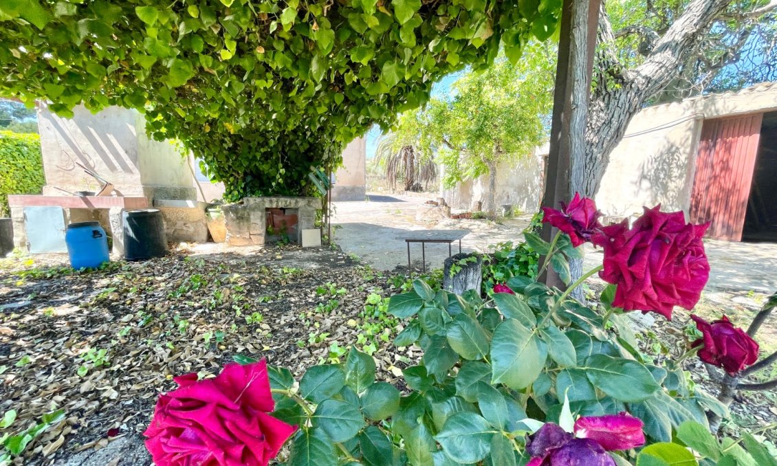 Resale - Villa -
La Romana - Inland