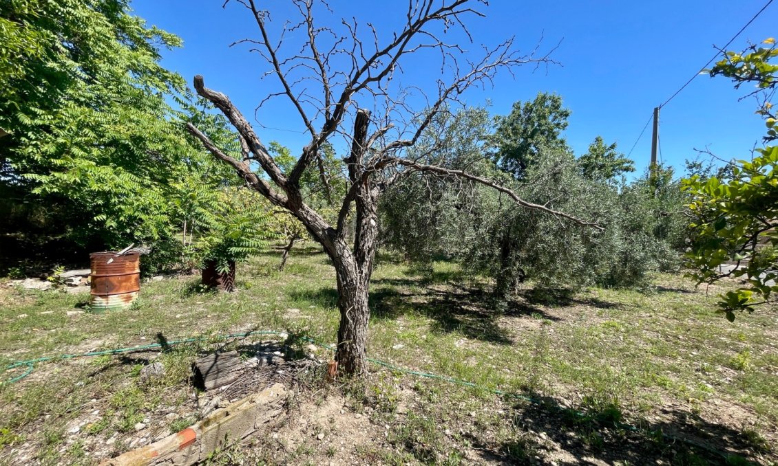 Resale - Villa -
La Romana - Inland