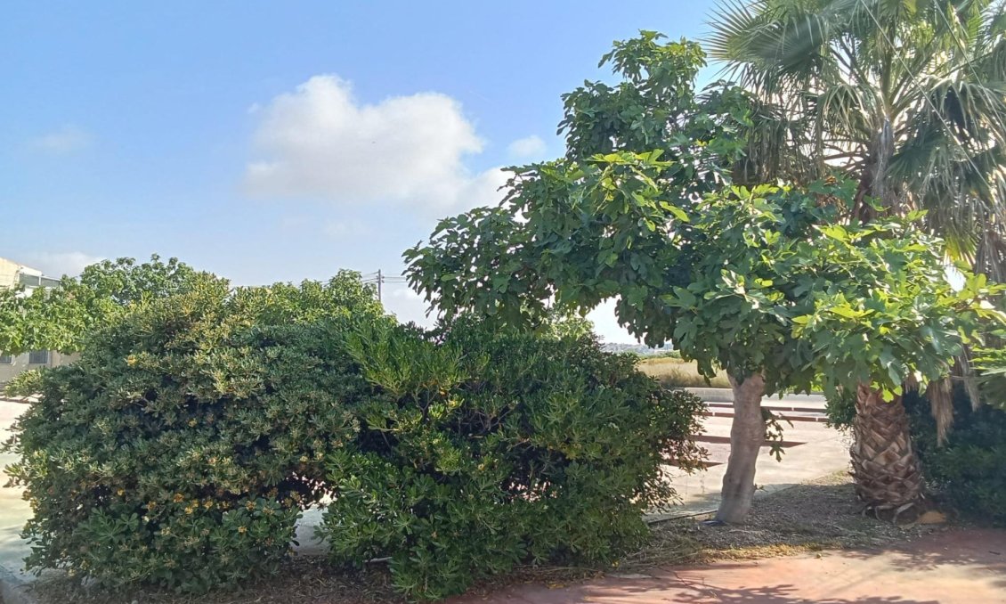 Resale - Bungalow -
Torrevieja - Torretas