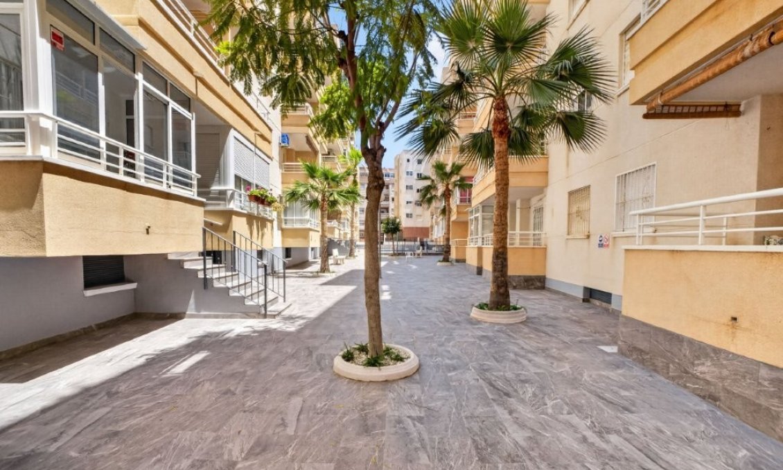 Wiederverkauf - Wohnung -
Torrevieja - Costa Blanca
