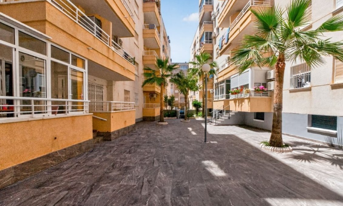 Wiederverkauf - Wohnung -
Torrevieja - Costa Blanca