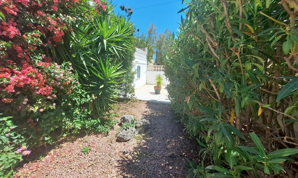 Resale - Villa -
San Miguel de Salinas - Inland