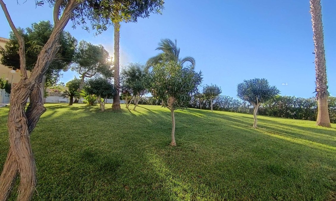 Revente - Appartement -
Torrevieja - Costa Blanca