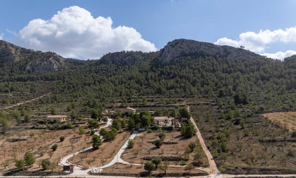Resale - Villa -
La Zarza - Inland
