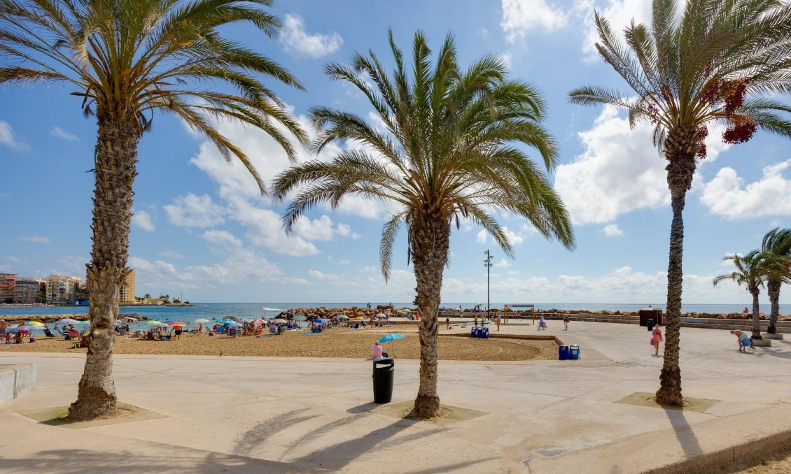 Resale - Bungalow -
Torrevieja - Nueva Torrevieja
