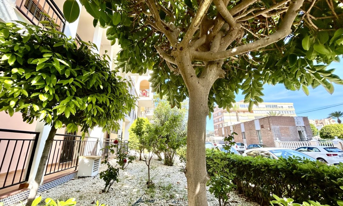 Resale - Apartment -
Torrevieja - Costa Blanca
