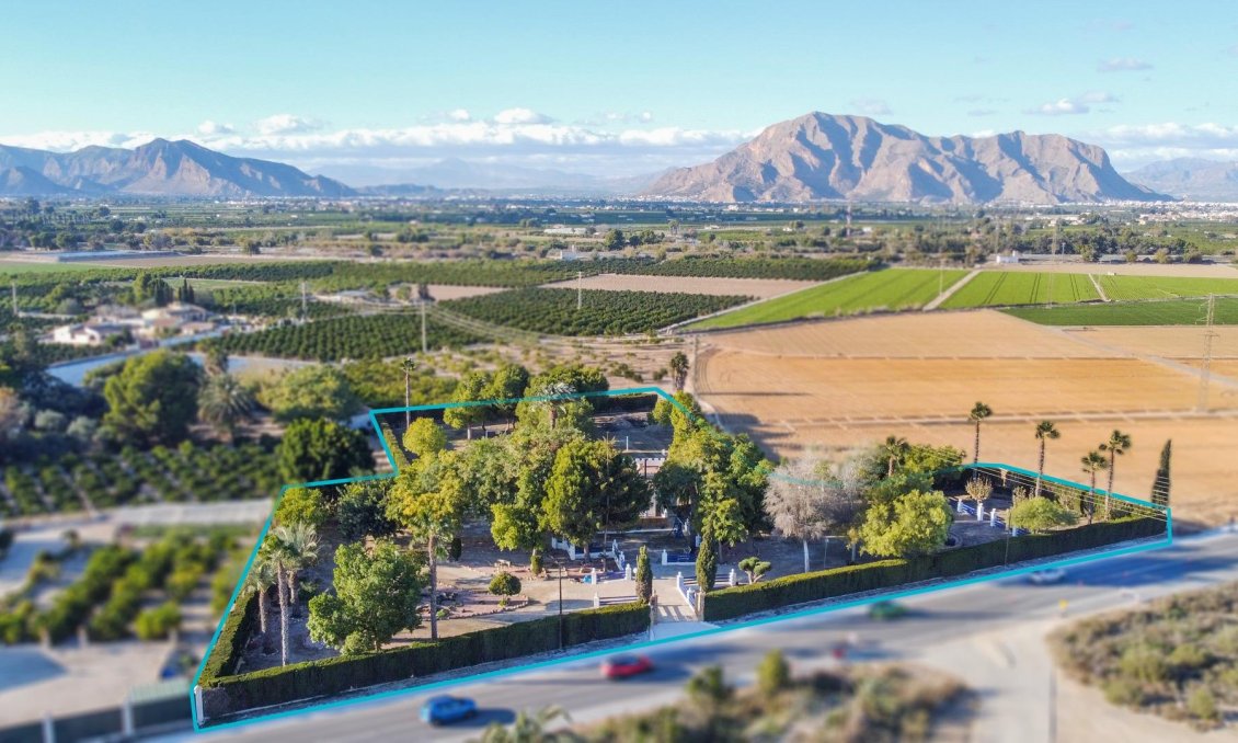 Revânzare - Vilă -
Orihuela
