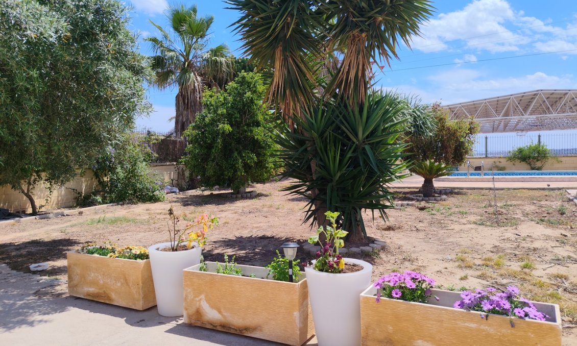 Revânzare - Vilă -
Los Montesinos - Costa Blanca