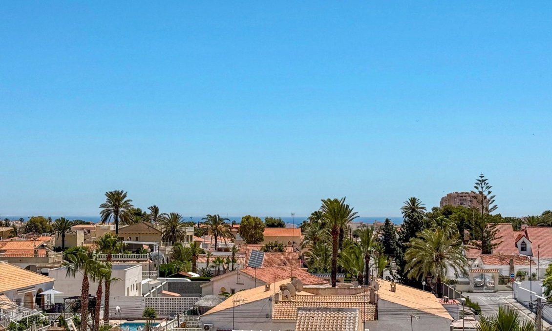Használt Ingatlanok - Apartman -
Torrevieja - Costa Blanca