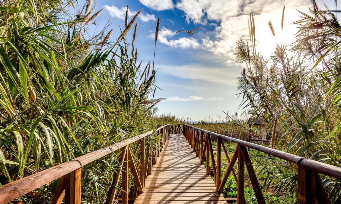 Segunda mano - Villa -
San Fulgencio - La Marina