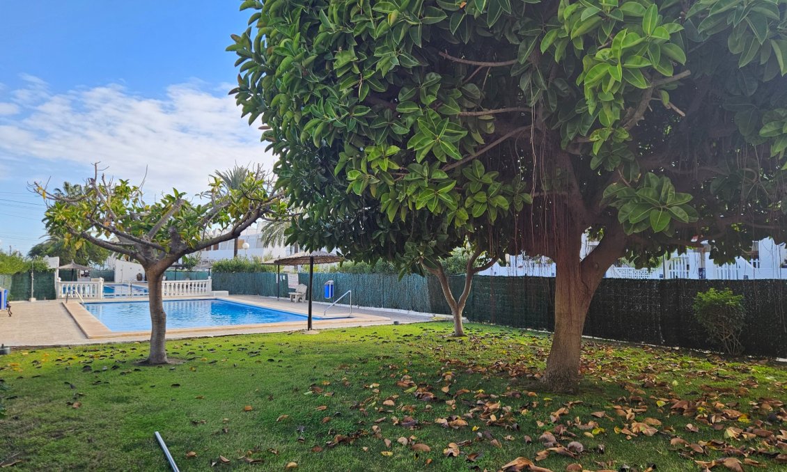 Revente - Appartement -
Torrevieja - Costa Blanca