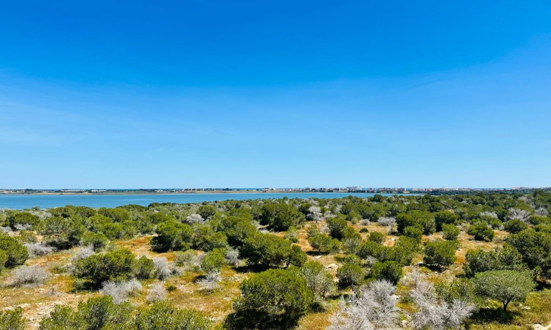 Revente - Appartement -
Torrevieja - Costa Blanca