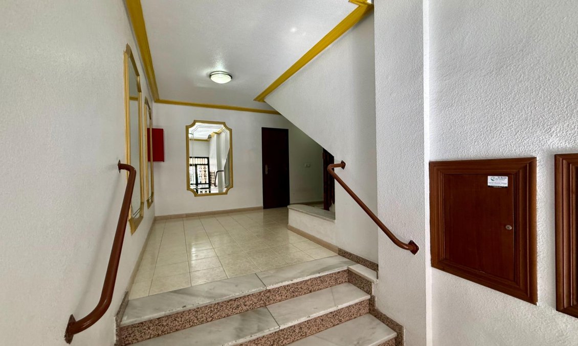 Segunda mano - Apartamento -
Torrevieja - Centro