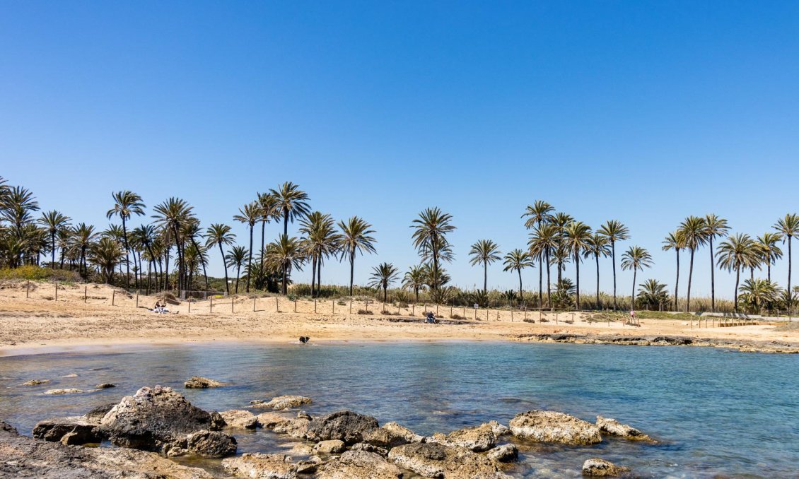Segunda mano - Bungalow -
Torrevieja - Costa Blanca