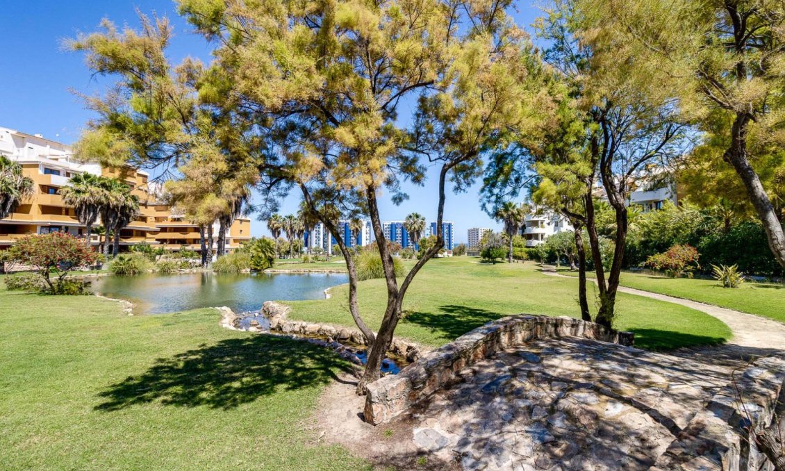 Revente - Appartement -
Torrevieja - Punta Prima