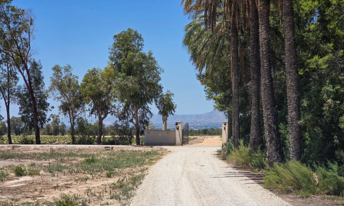 Wiederverkauf - Villa -
Elche - Costa Blanca