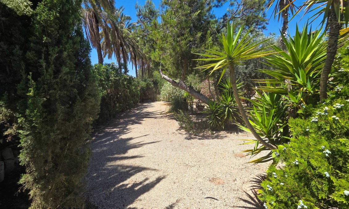 Wiederverkauf - Villa -
Elche - Costa Blanca