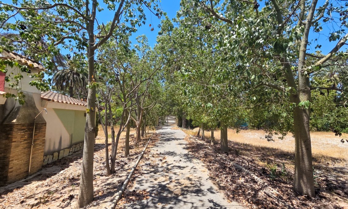 Wiederverkauf - Villa -
Elche - Costa Blanca