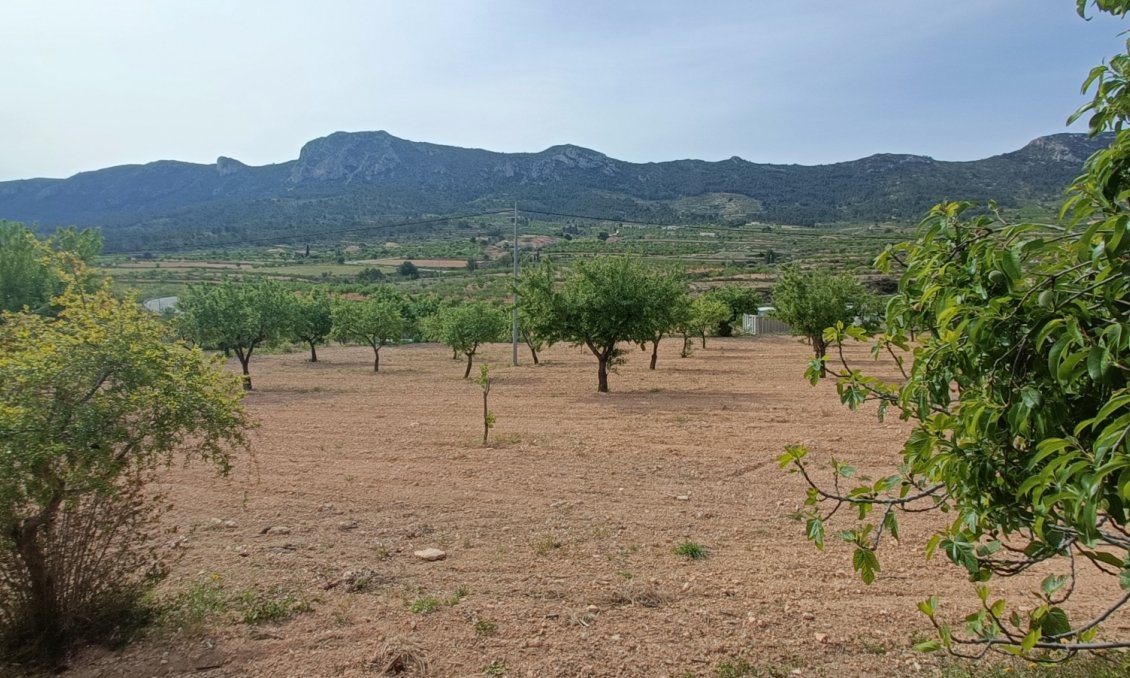 Segunda mano - Villa -
La Romana - Inland