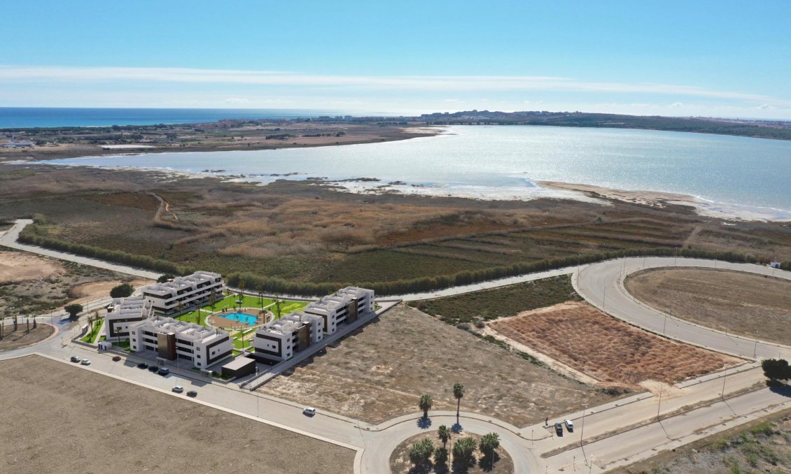 Obra nueva - Apartamento -
Guardamar del Segura - El Raso