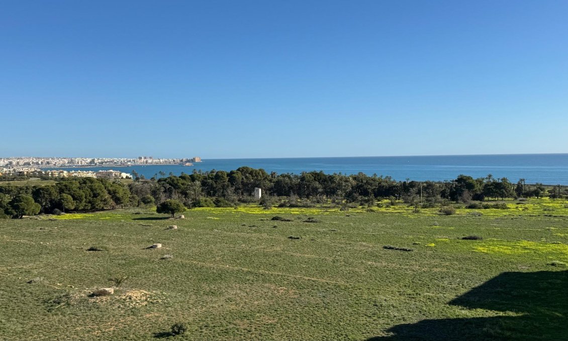 Resale - Penthouse -
Torrevieja - Punta Prima
