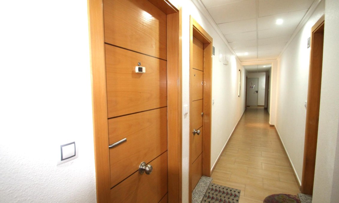 Segunda mano - Apartamento -
Torrevieja - El Molino