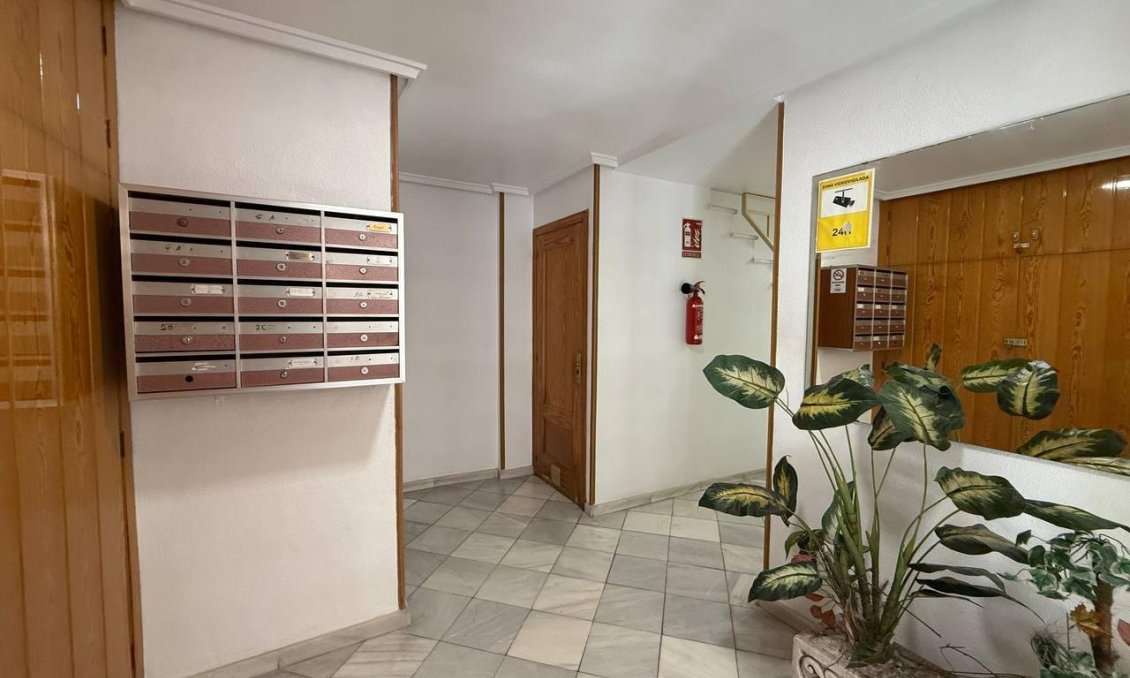 Használt Ingatlanok - Apartman -
Torrevieja - Centrum